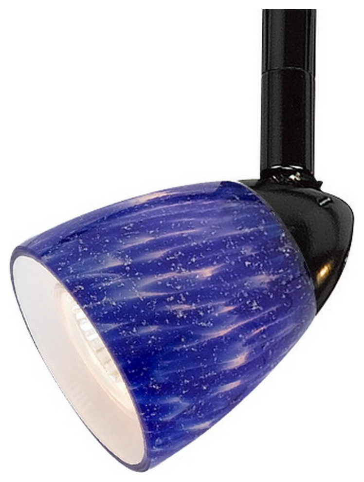 HT Track Light With Glass Shade Contemporary Track Heads And