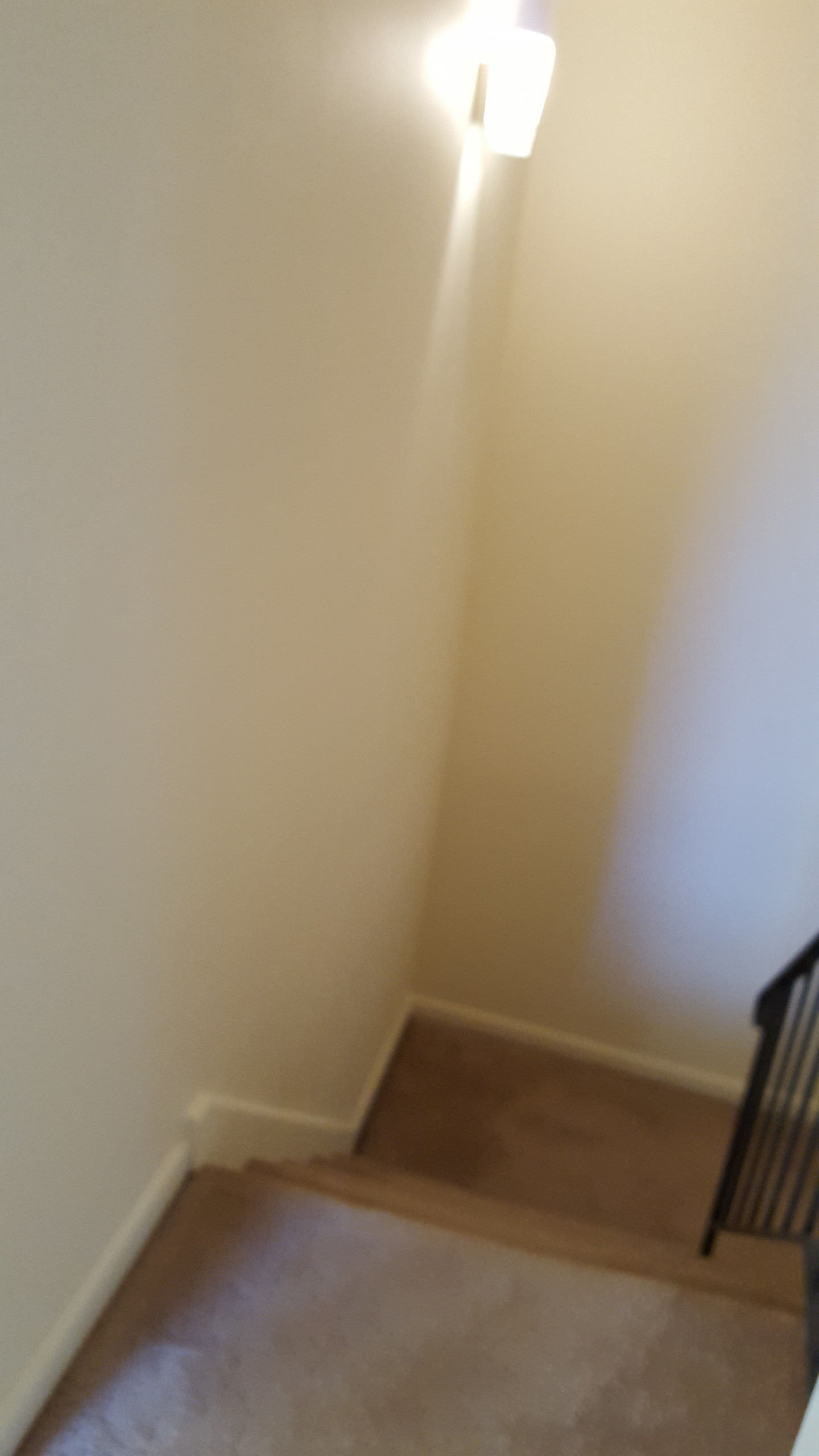 Entire Home Update/Remodel