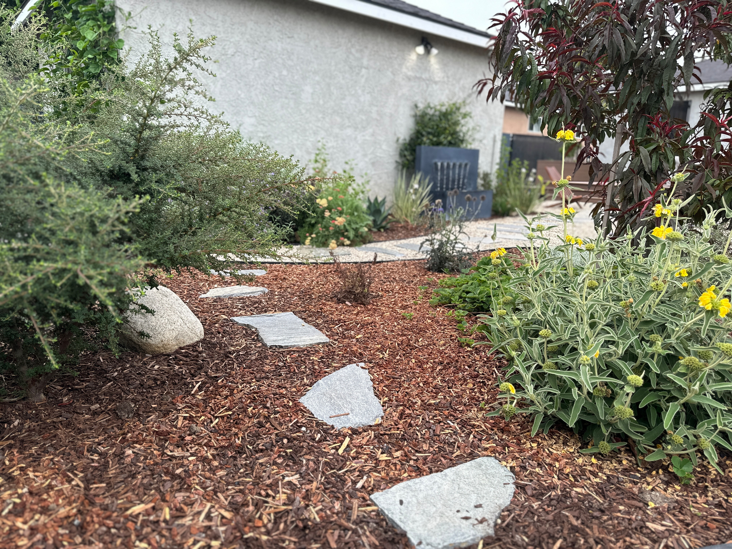 Food Forest & CA Native Plant Los Angeles Oasis