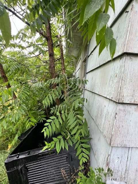 Exterior House Painting