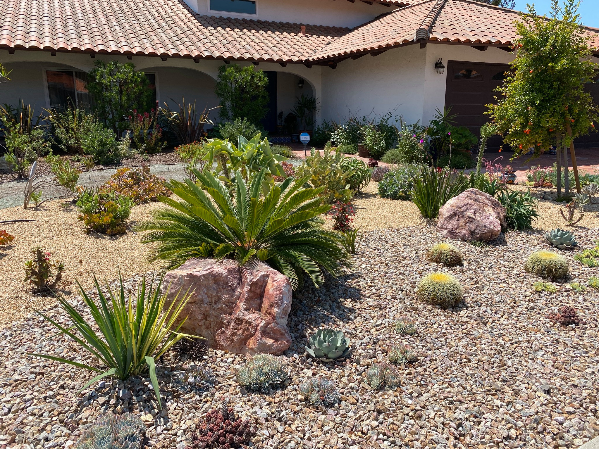 Rancho Palos Verdes, CA - Front Yard Regenerative Renovation