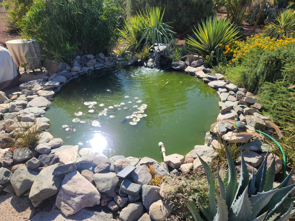 Small mediterranean backyard full sun garden in Phoenix with with pond.
