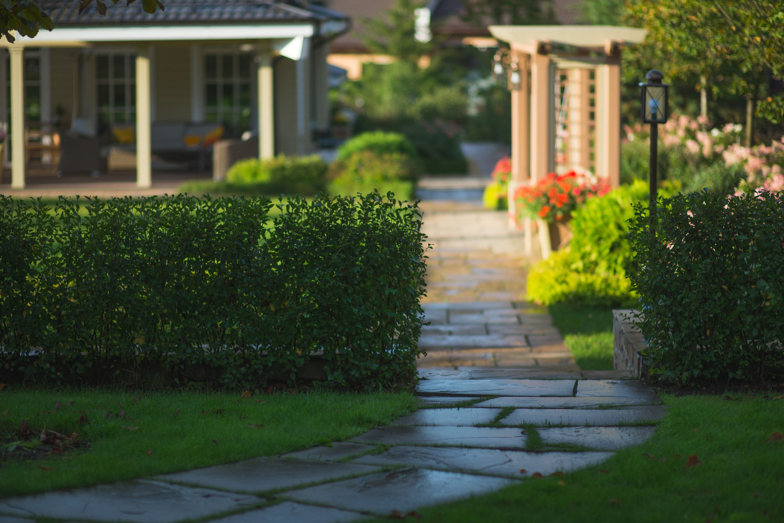 Регулярная классика