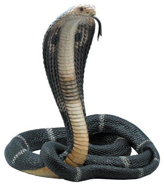 Unicorn Studios WU75184AA King Cobra Snake Sculpture