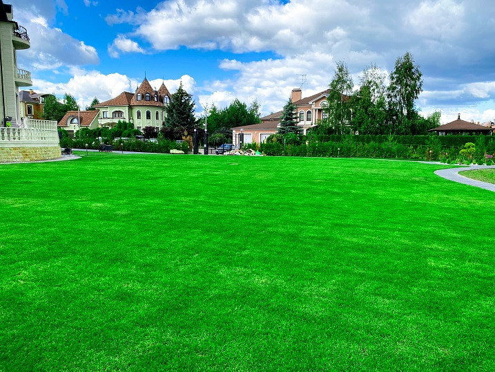 Создание рулонного газона