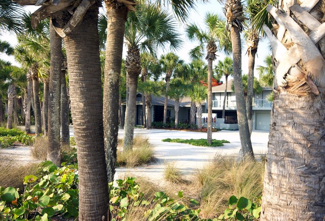 Casey Key Residence tropical-garden