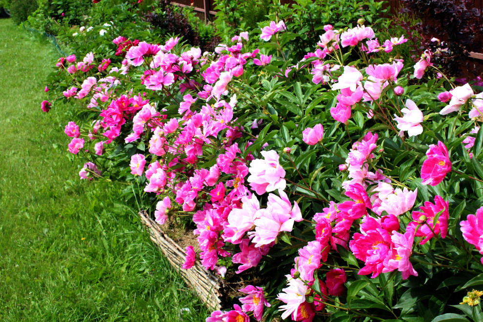 Проект благоустройства и озеленения территории в Подмосковье