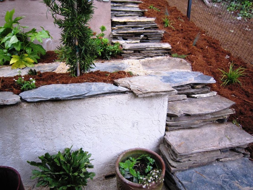 San Francisco Retaining Wall with Shade Garden