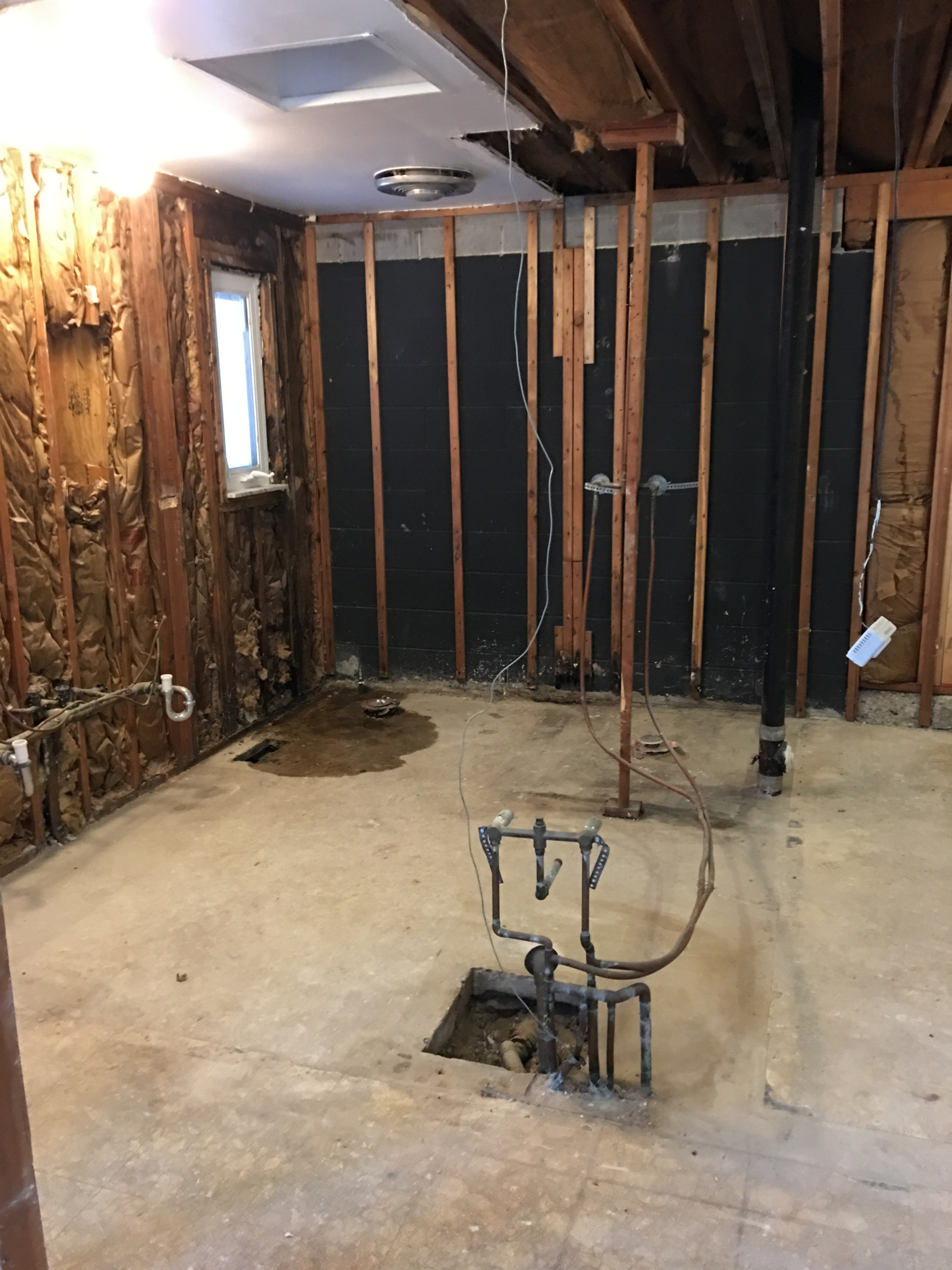 Custom bathroom and back room workout/pet room