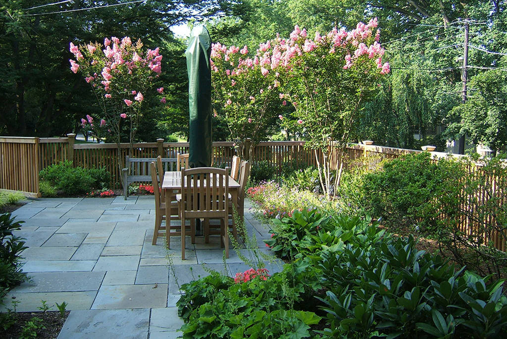 Great Design Plant: Crape Myrtle