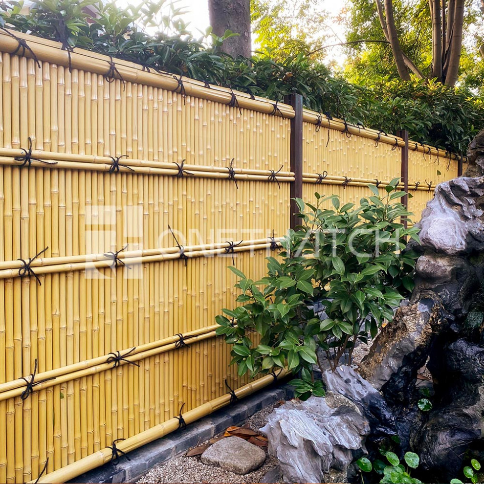 Foto de jardín tropical de tamaño medio en patio trasero con jardín francés, privacidad, exposición total al sol y gravilla