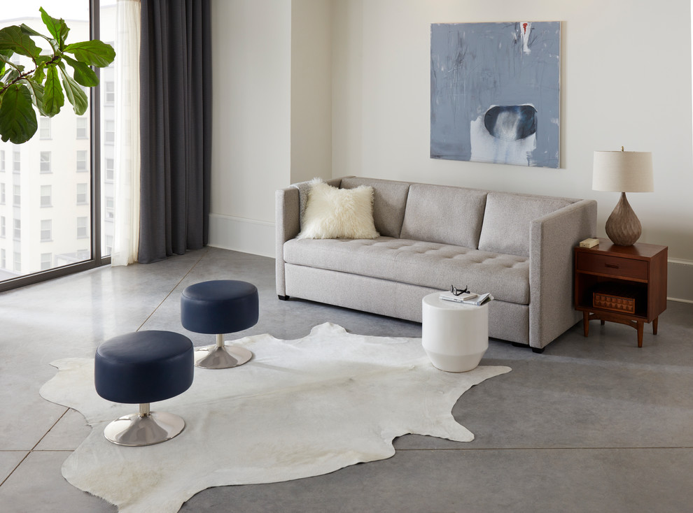 Trendy home design photo in Dallas