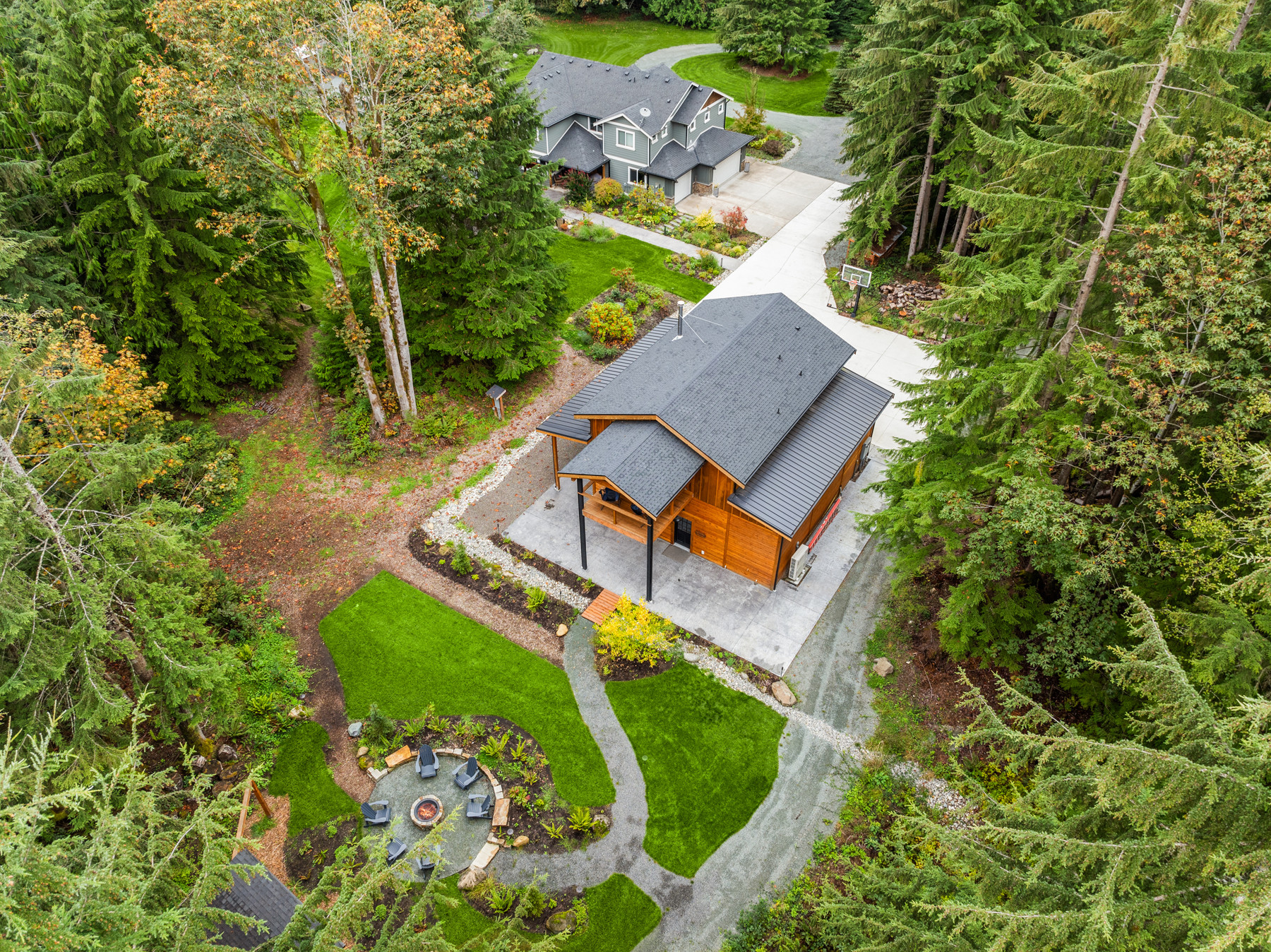 The Tree House