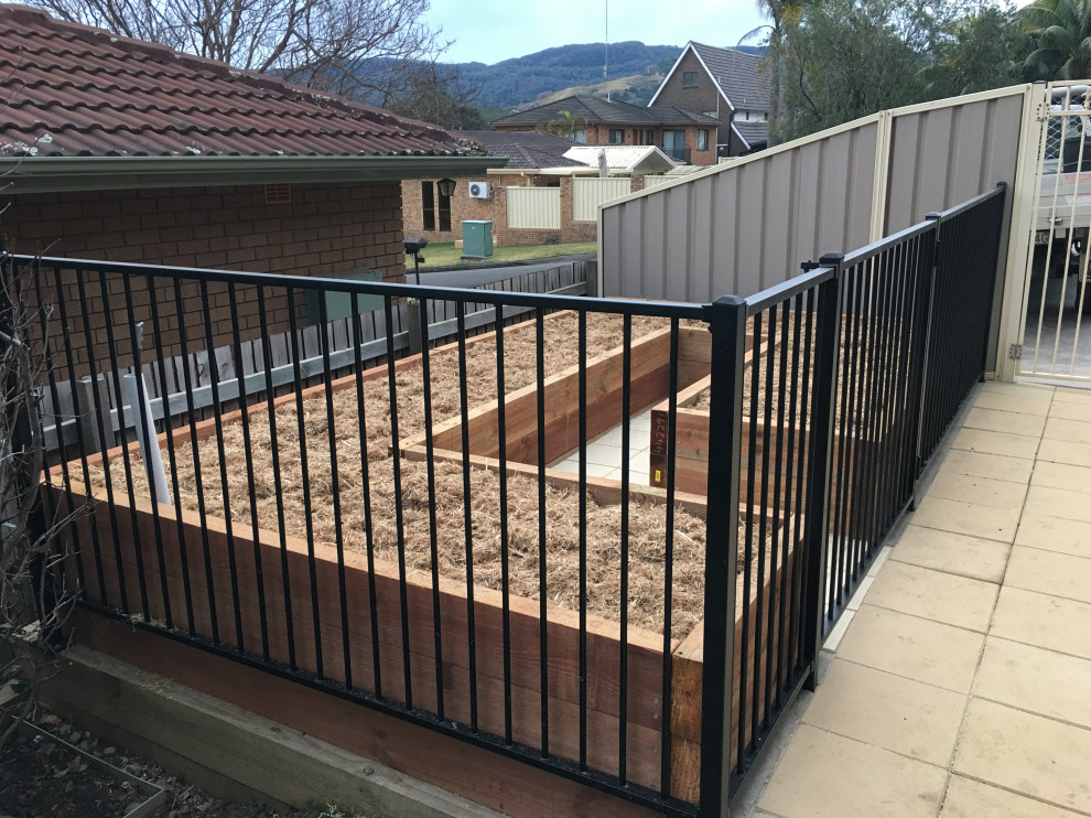 Inspiration for a medium sized contemporary side formal full sun garden for spring in Wollongong with a vegetable patch, concrete paving and a metal fence.