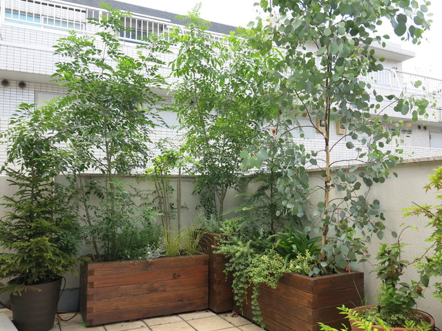 ガーデンデザイン moderno-balcon