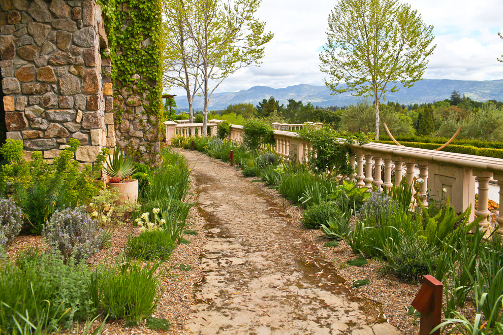 Photo of a mid-sized mediterranean full sun garden in San Francisco with a garden path and gravel.