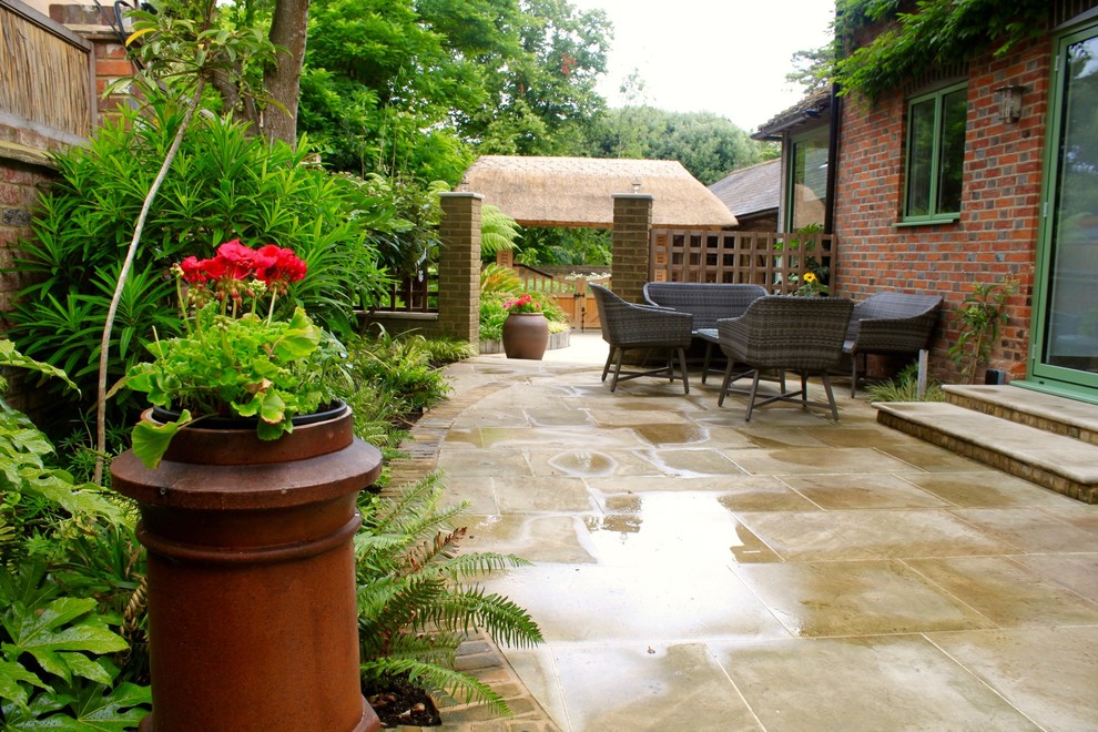 passion pro new design