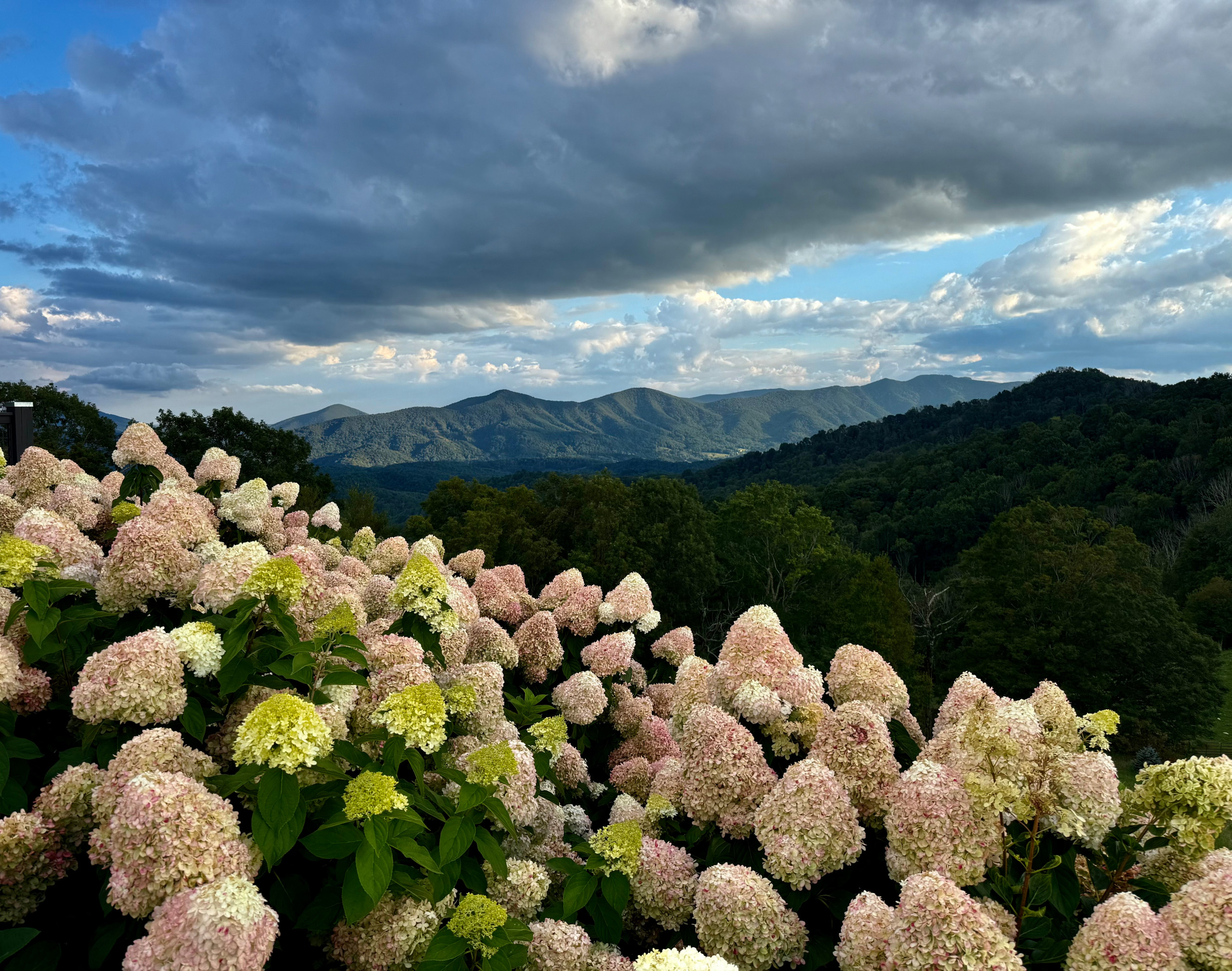 Mountain Top Magic