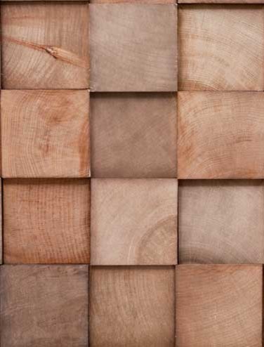 Rustic Projection contemporary