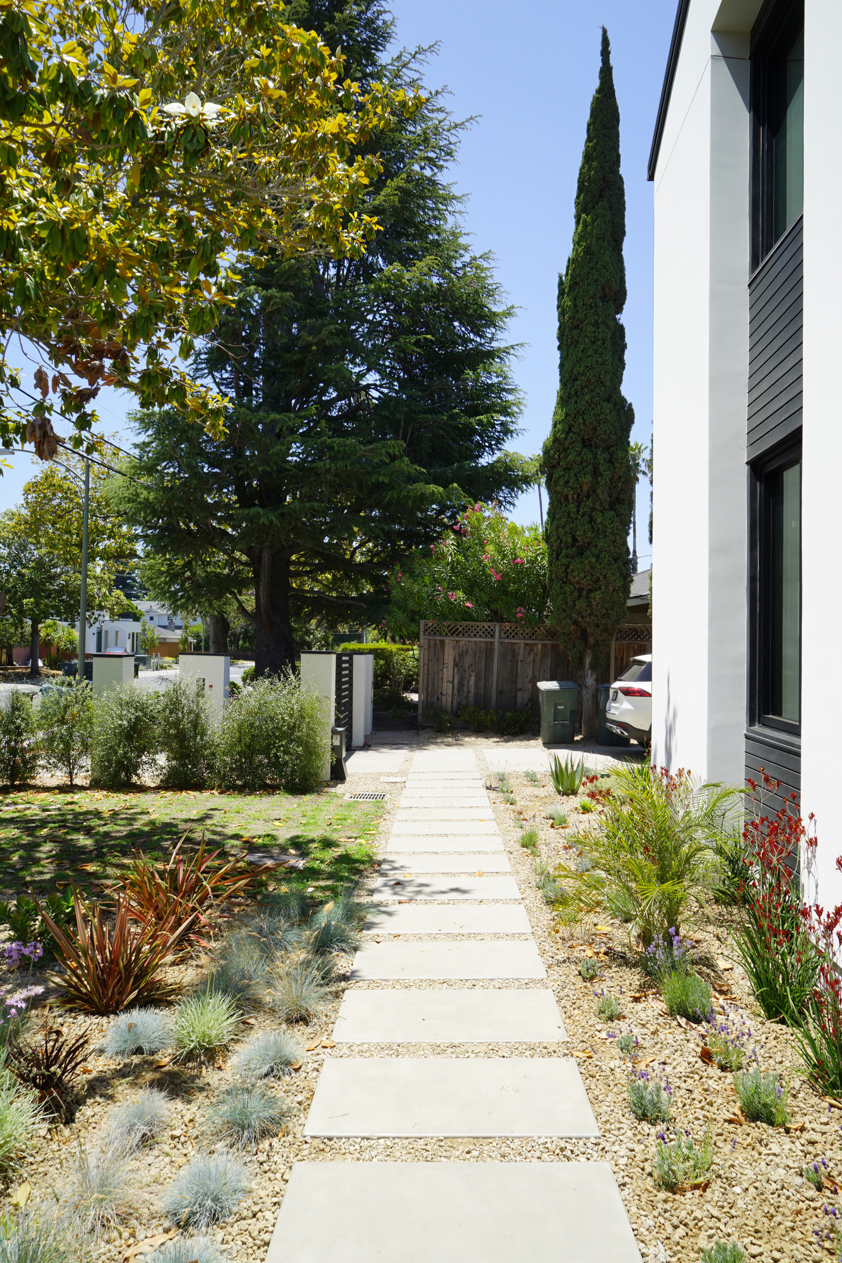 Palo Alto Mediterranean Landscape Front Yard