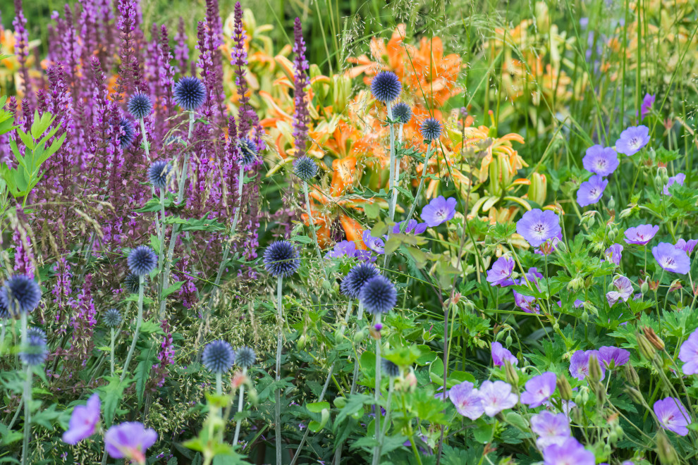 Многолетники