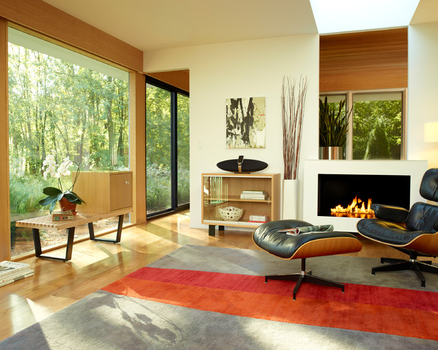 Contemporary Decor With Eames Shell Chair Living Room