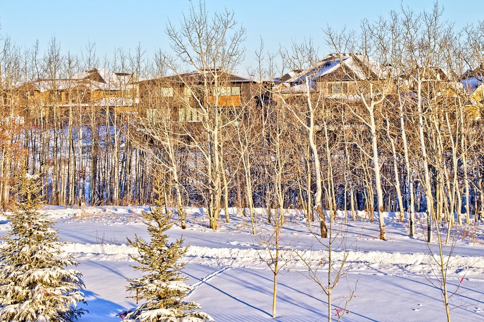 Inspiration for a transitional landscaping in Calgary.