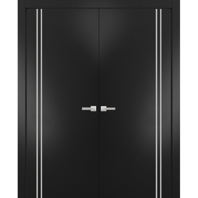 Solid French Double Doors | Planum 0310 Matte Black with, 48