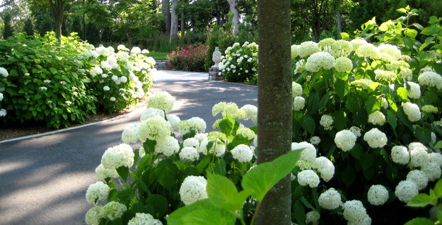 The 3 Ingredients of a Magical Night Garden