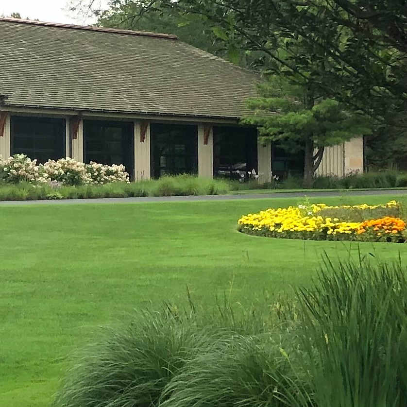 lawn