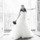cindy_nelson60