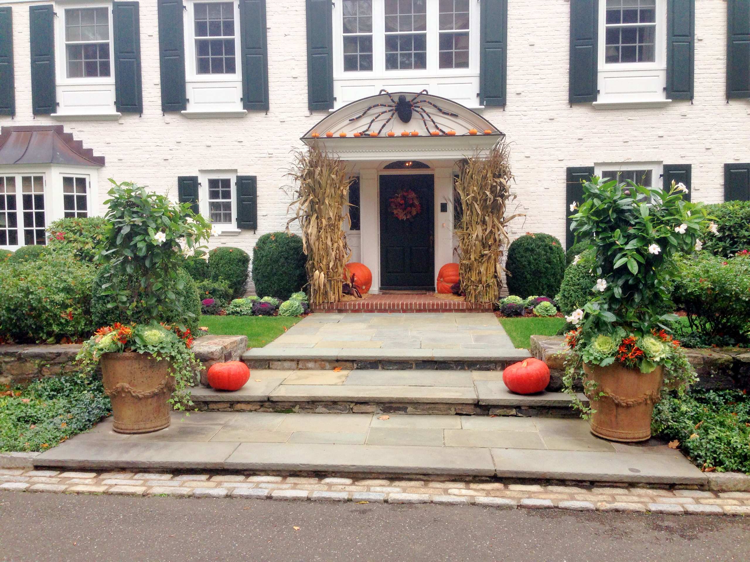 Themed Front Door Decorations