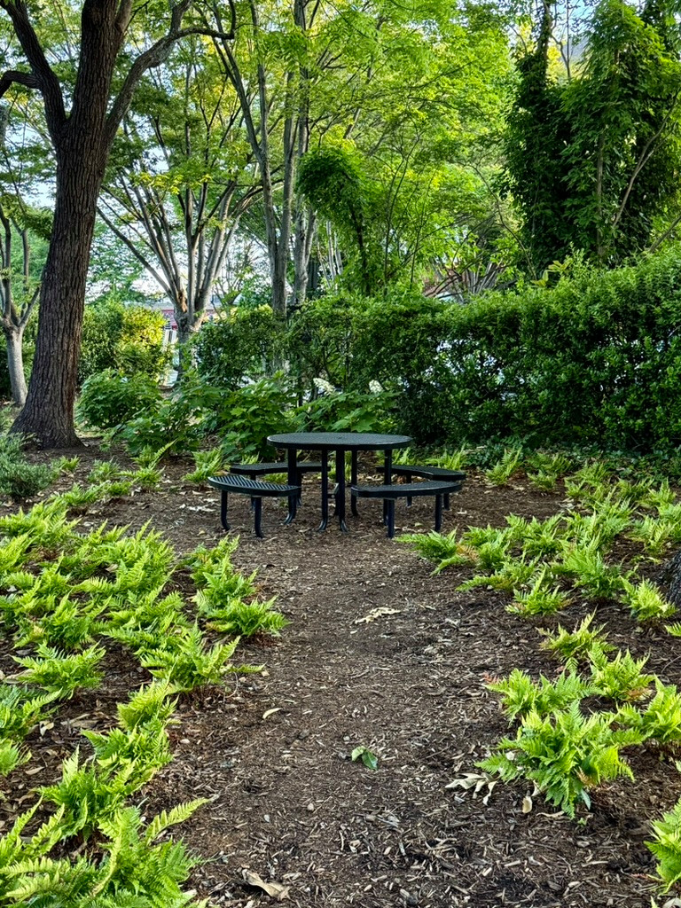 Veterans Memorial Park, Davidson, NC