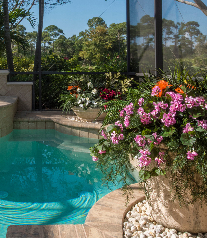 Pool Planter Makeover - Tropical - Pool - Miami - by User