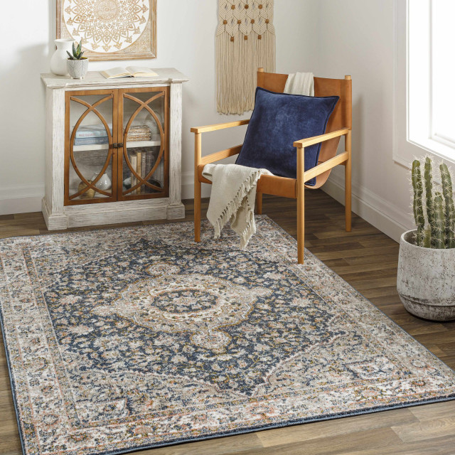 Babag, 6'7"" x 9' Traditional Area Rugs by Hauteloom Houzz