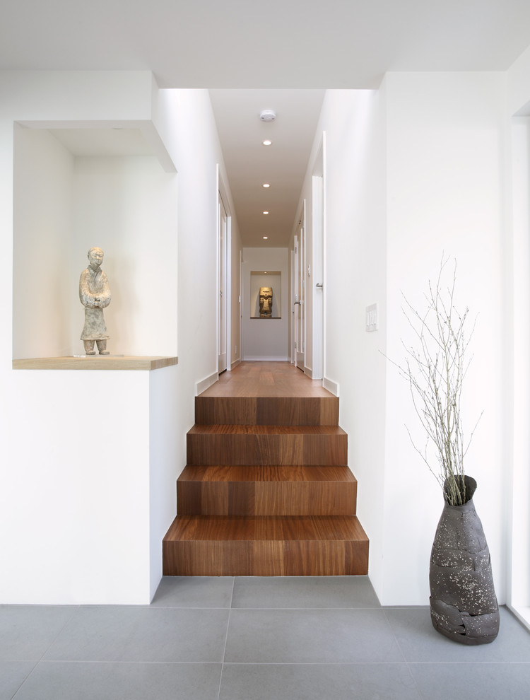 Design ideas for a mid-sized modern hallway in San Francisco with white walls, dark hardwood floors and brown floor.