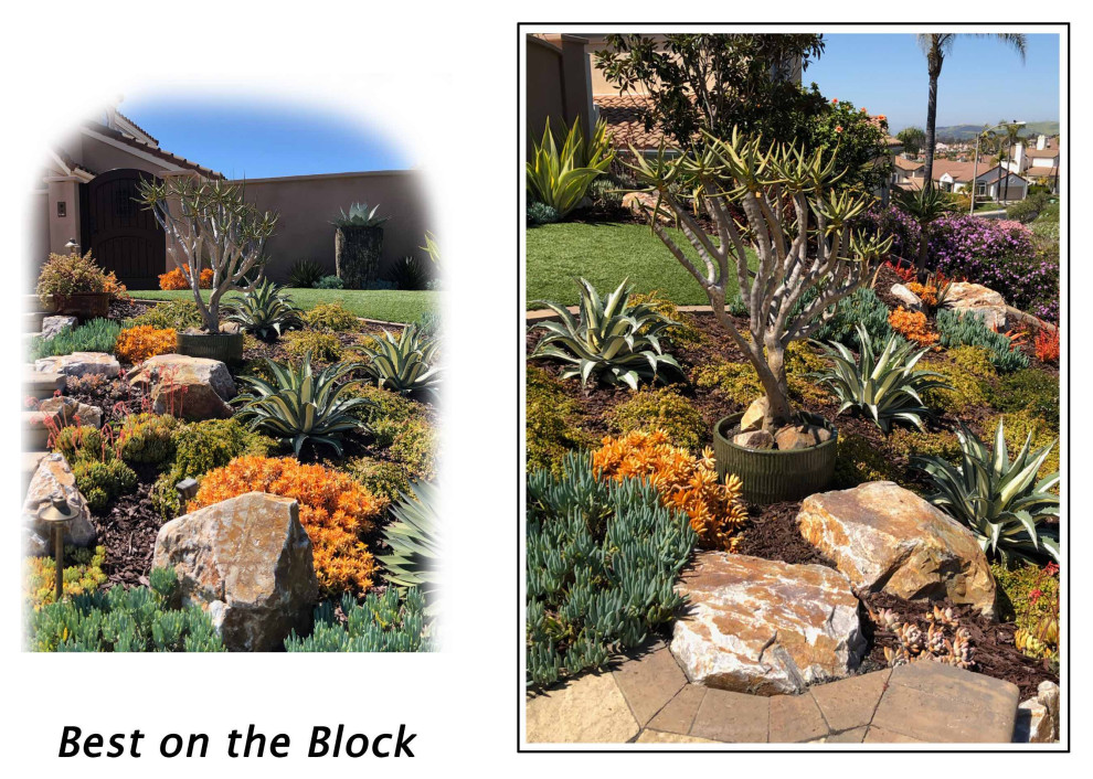 Inspiration for a large coastal front xeriscape full sun garden in Orange County with a desert look.
