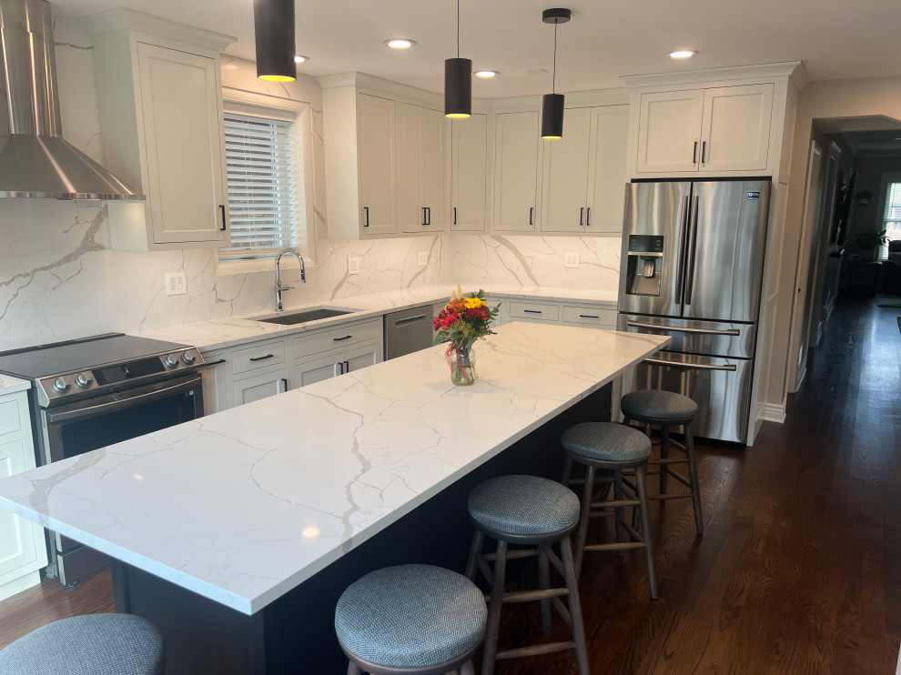 Chicago Kitchen/Dining Renovation