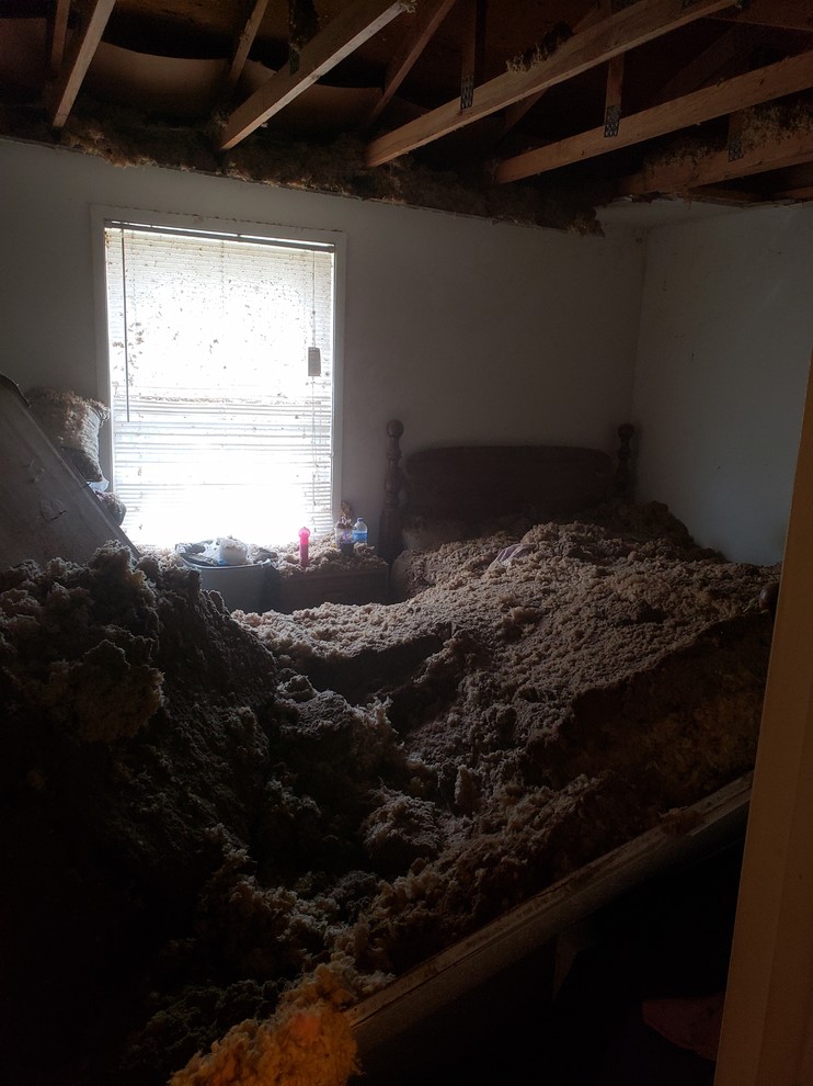 Bedroom ceiling cave in, clean up advice