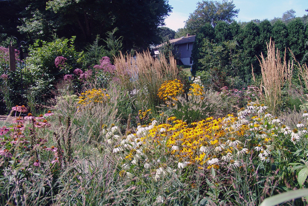 Design ideas for a transitional landscaping in Boston.