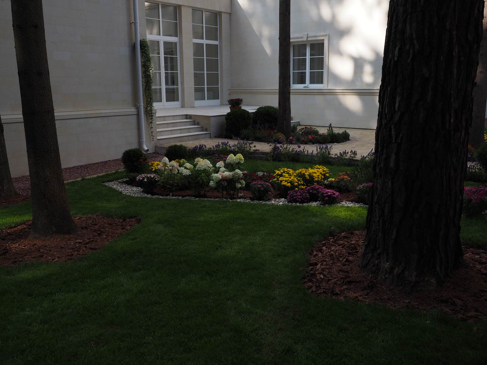 Проект Грибово