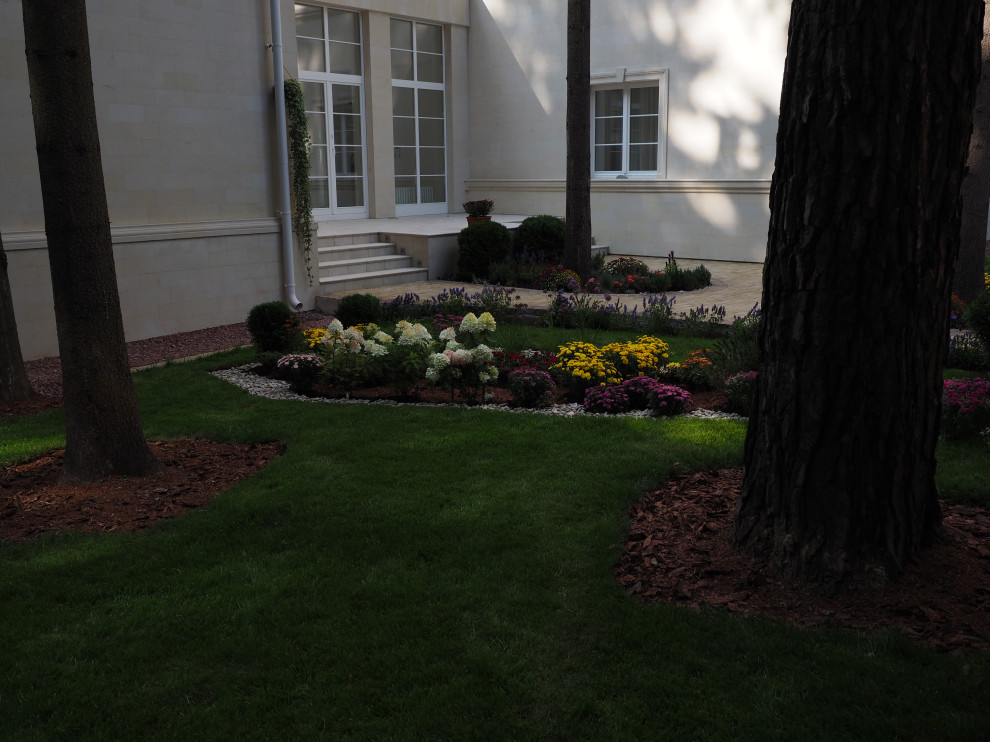 Проект Грибово