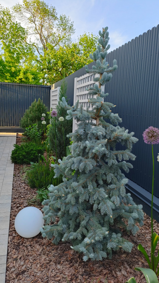 Частный сад "на Дружной"