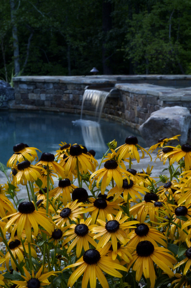 Example of a mountain style pool design in Atlanta