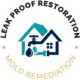 Leak Proof Restoration