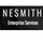 Nesmith And Company Inc