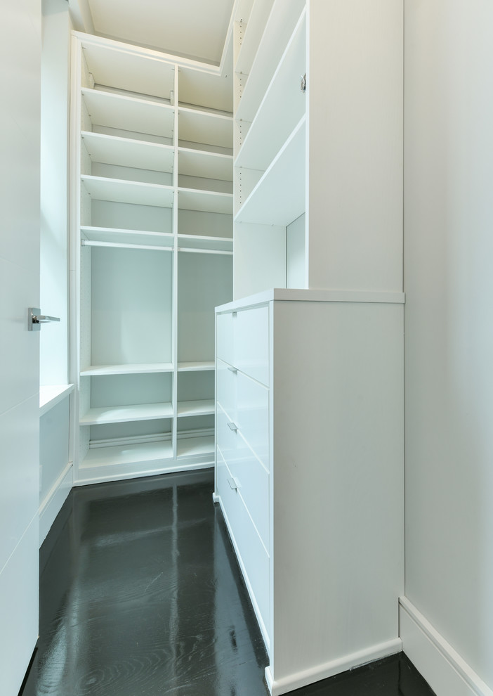 Photo of a mid-sized transitional walk-in wardrobe in Boston with flat-panel cabinets, white cabinets, painted wood floors and black floor.
