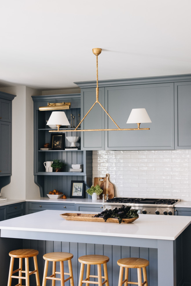 Kitchen - transitional kitchen idea in Chicago