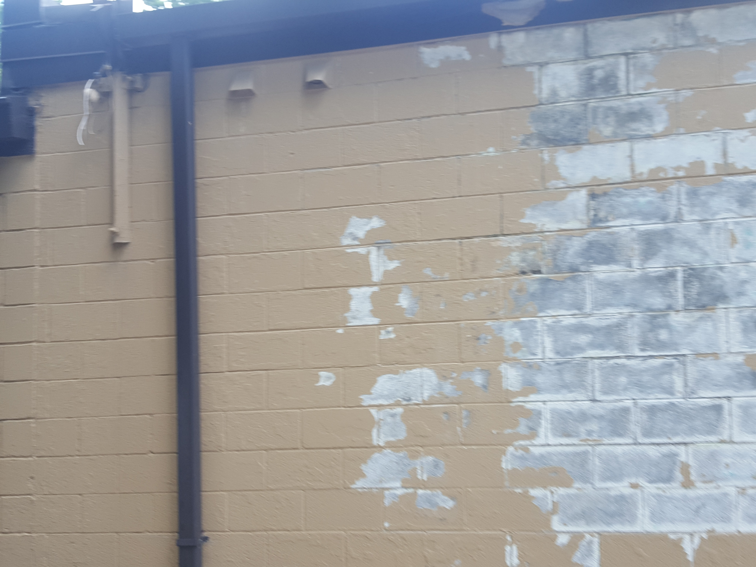Exterior Painting/Staining Projects
