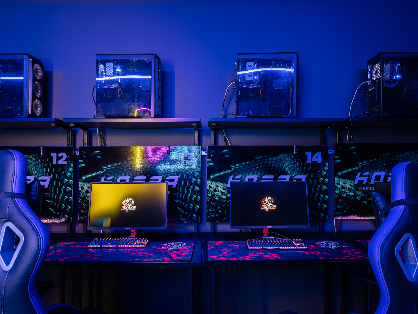 Киберспортивный клуб "Кобра"